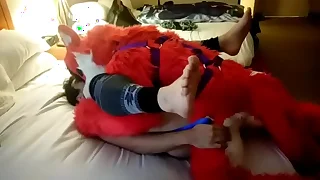 144 furry gay porn videos